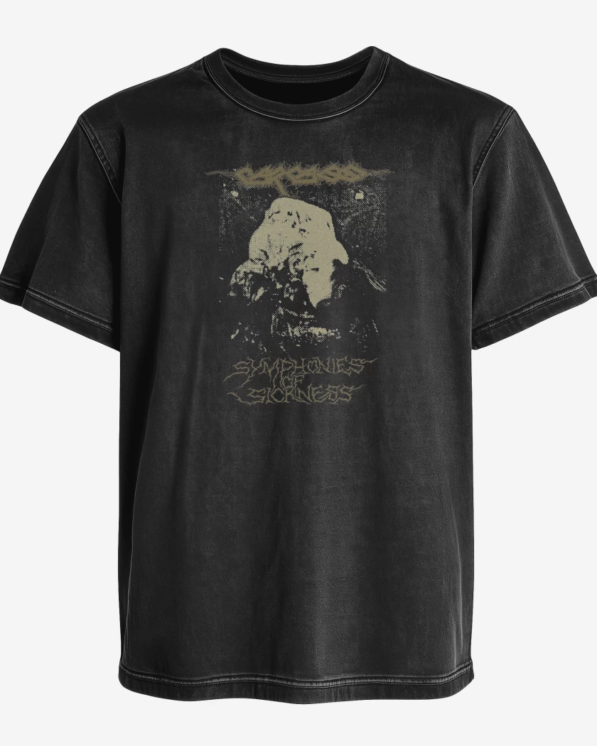 Polera desgastada Symphonies of Sickness Carcass