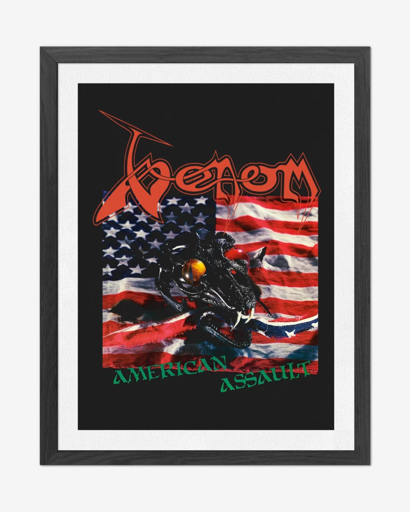 Cuadro decorativo Negro de Venom American Assault