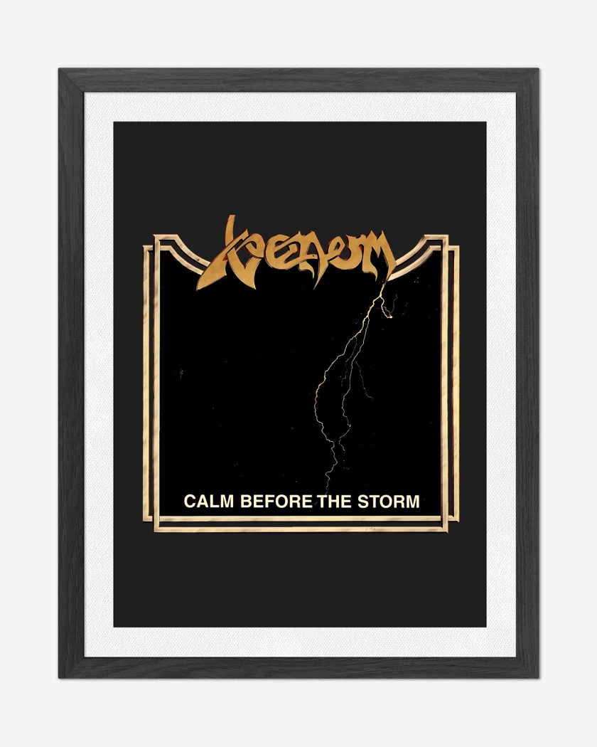 Cuadro decorativo Venom Calm Before the Storm