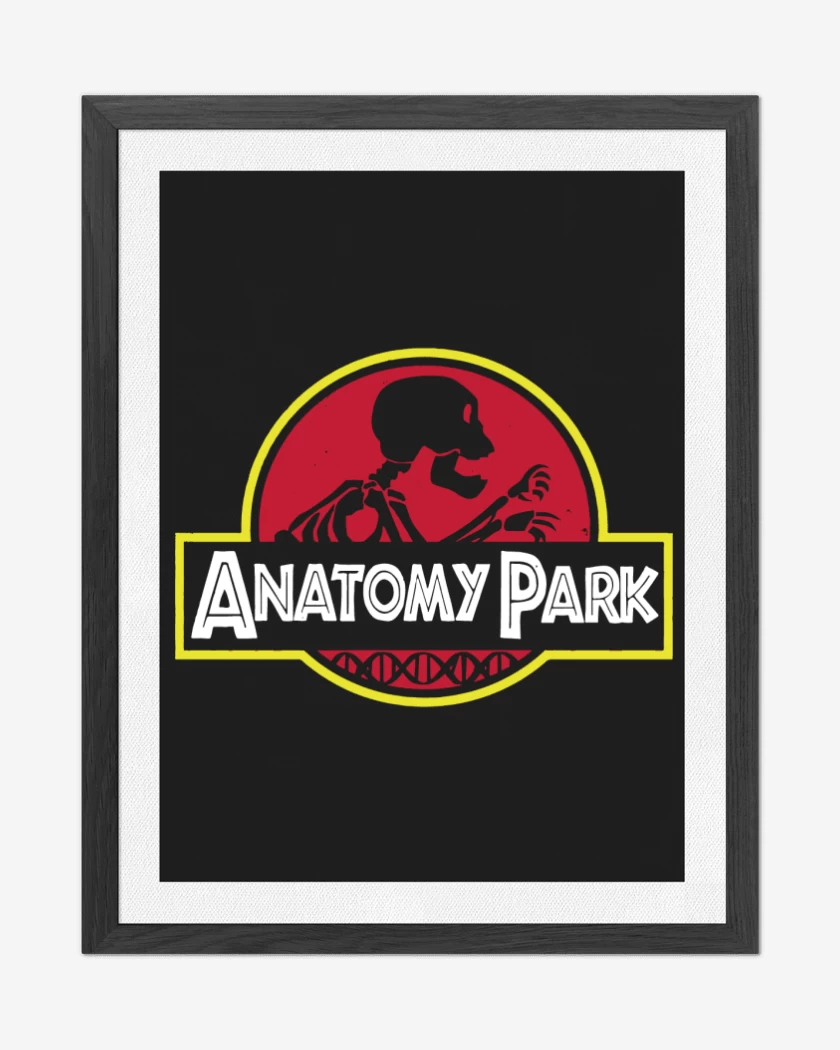Cuadro decorativo Anatomy park