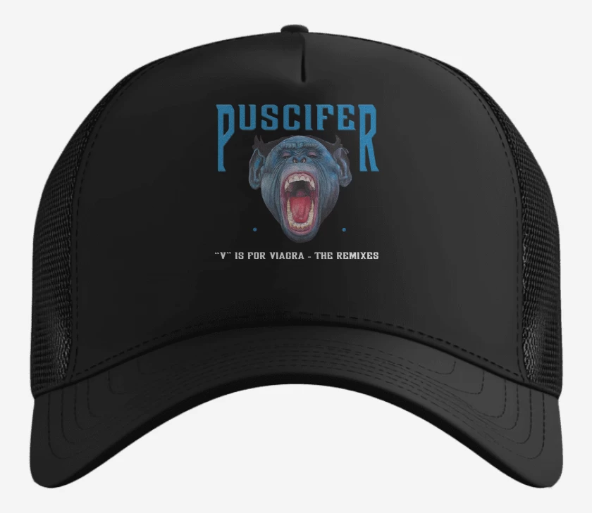 Gorro Puscifer V is For V