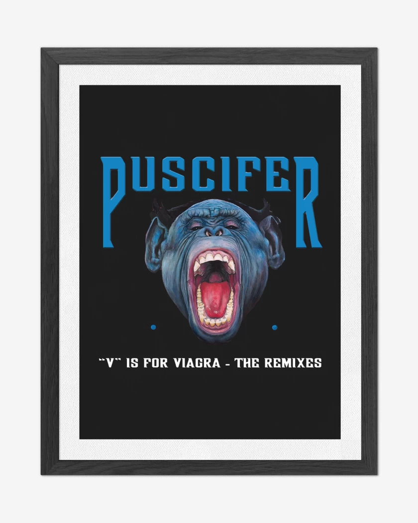 Cuadro decorativo Negro de Puscifer V is For V