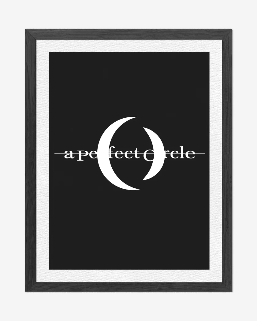 Cuadro decorativo A Perfect Circle Logo Blanco