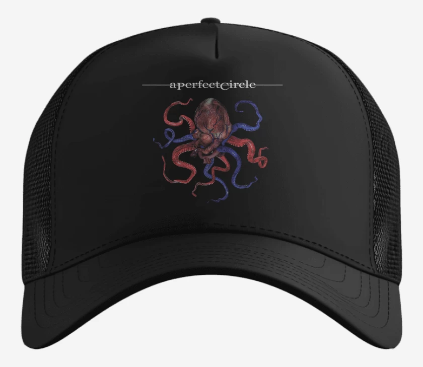 Gorro A Perfect Circle Octoheart