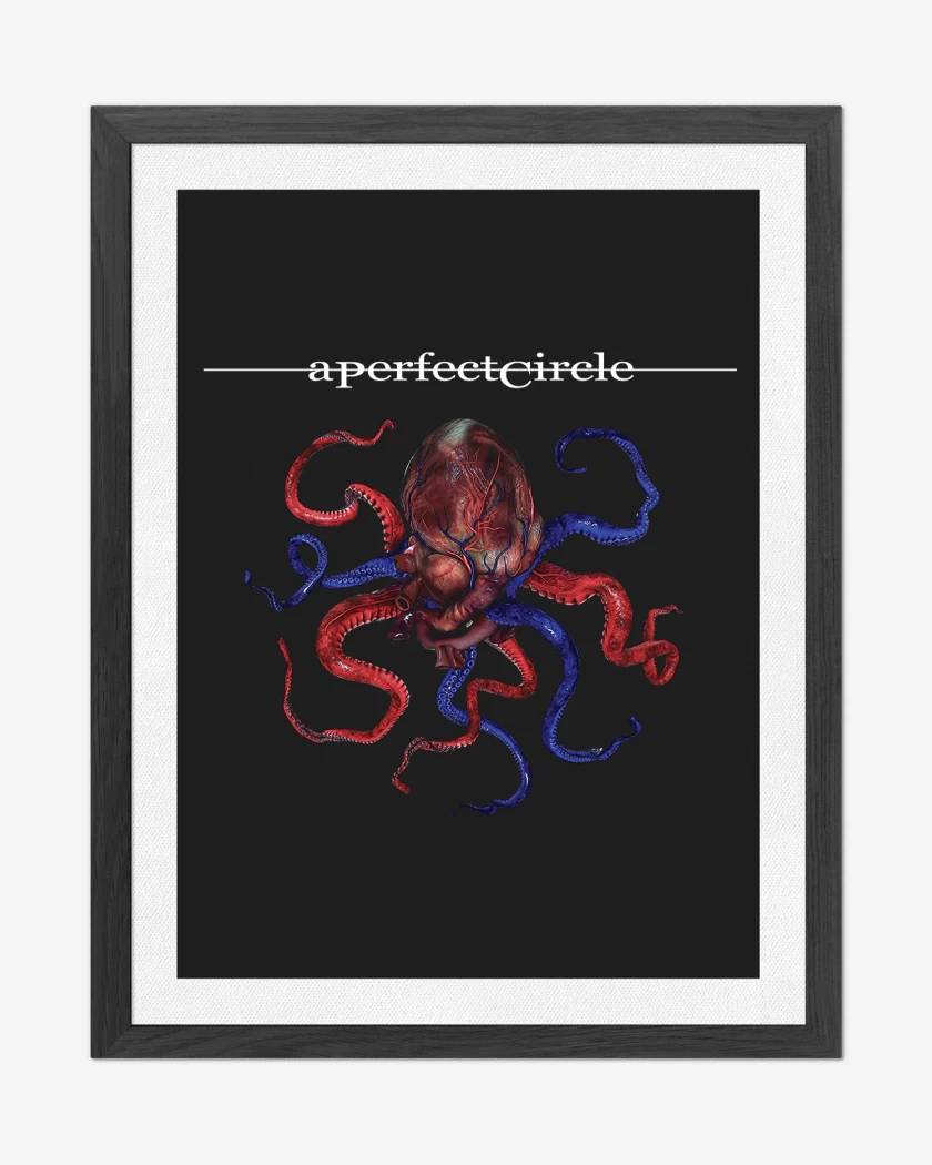 Cuadro decorativo A Perfect Circle Octoheart