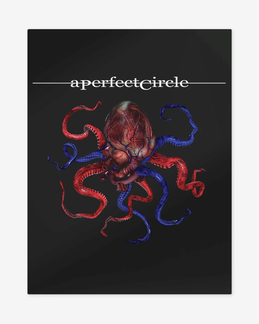 Print metalico A Perfect Circle Octoheart
