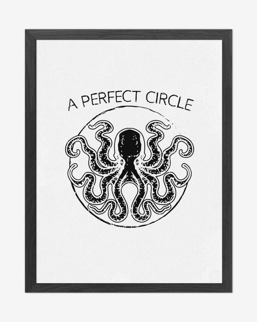 Cuadro decorativo A Perfect Circle Pulpo