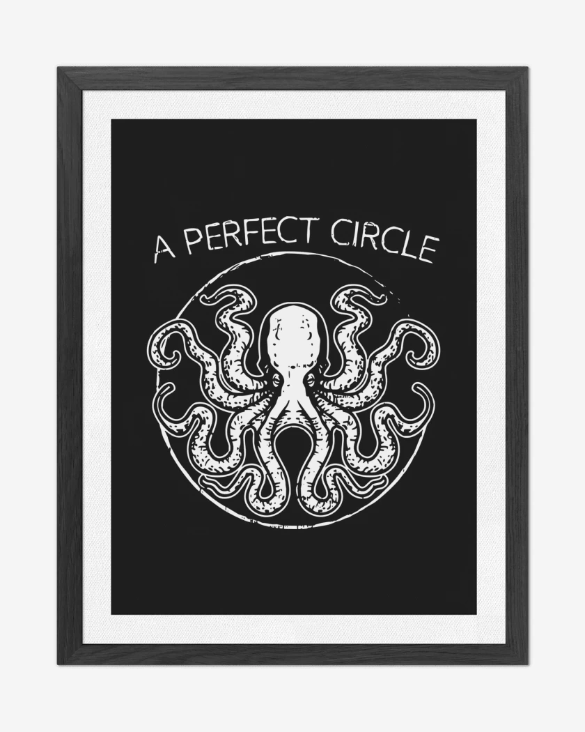 Cuadro decorativo A Perfect Circle Octo