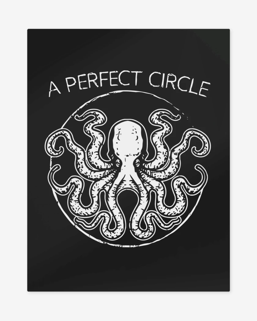 Print metalico A Perfect Circle Octo