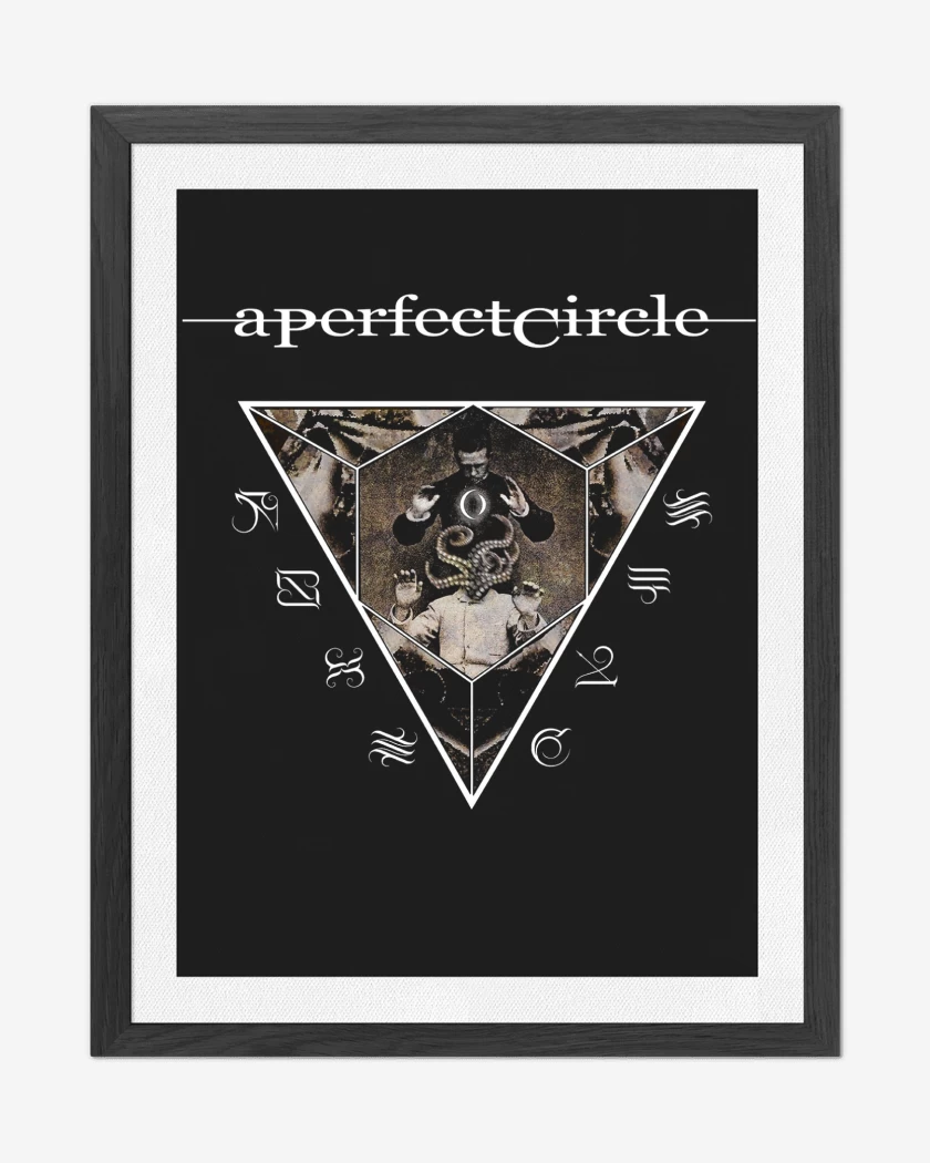 Cuadro decorativo A Perfect Circle Outsider