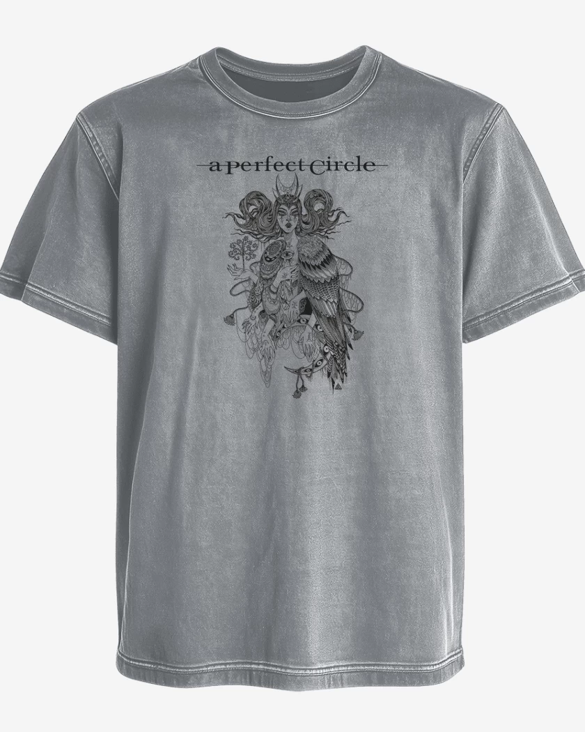 Polera desgastada A Perfect Circle Witch