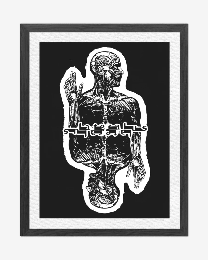 Cuadro decorativo Lateralus Tool 