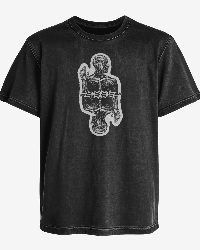 Polera desgastada Lateralus Tool 