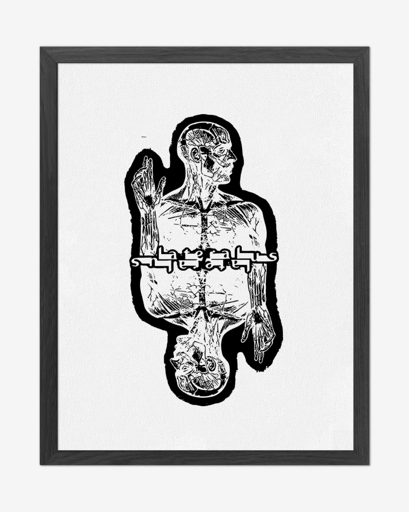 Cuadro decorativo Lateralus Tool N
