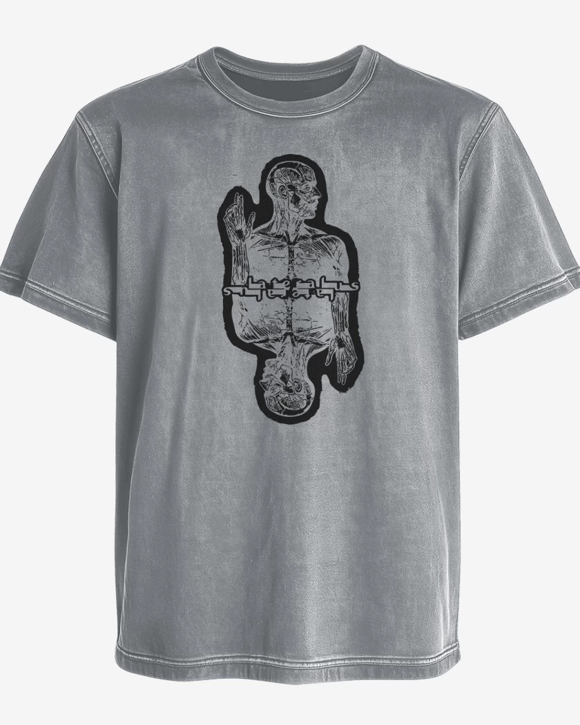 Polera desgastada Lateralus Tool N