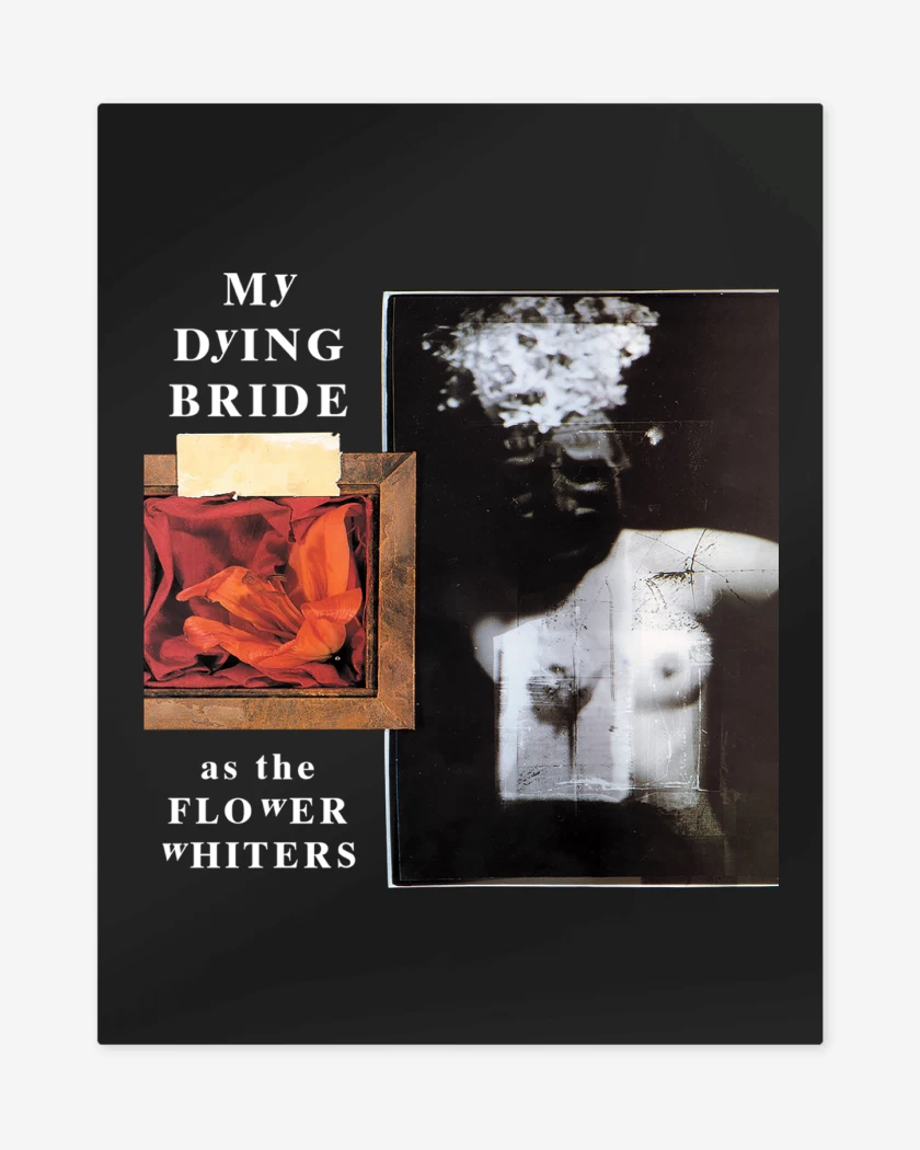 Print metalico My Dying Bride As the Flower Whiters