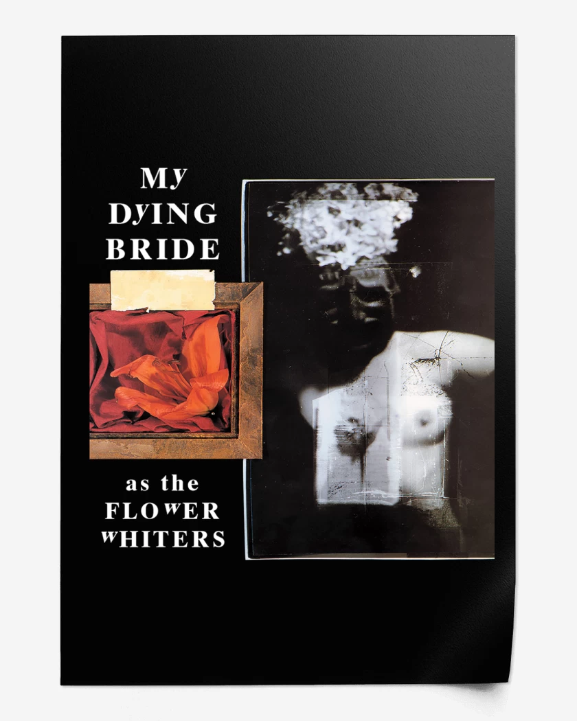 Print My Dying Bride As the Flower Whiters
