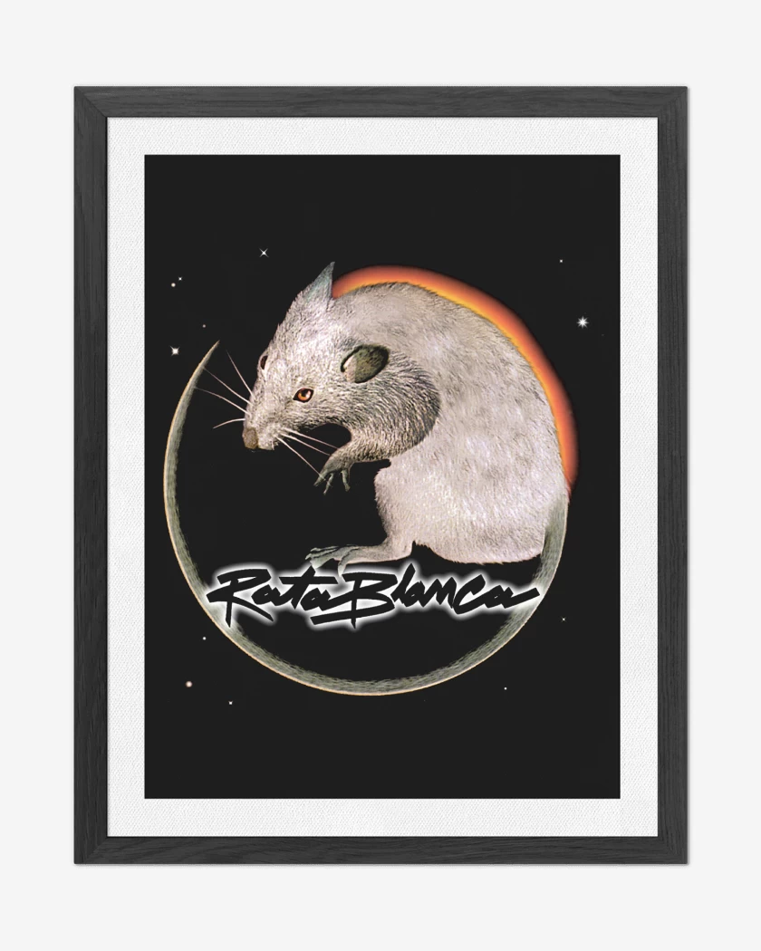 Cuadro decorativo Negro de Rata Blanca