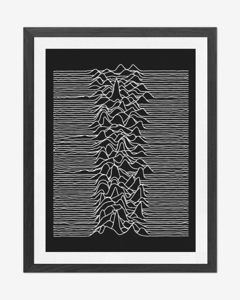 Cuadro decorativo Negro de Joy division blanco