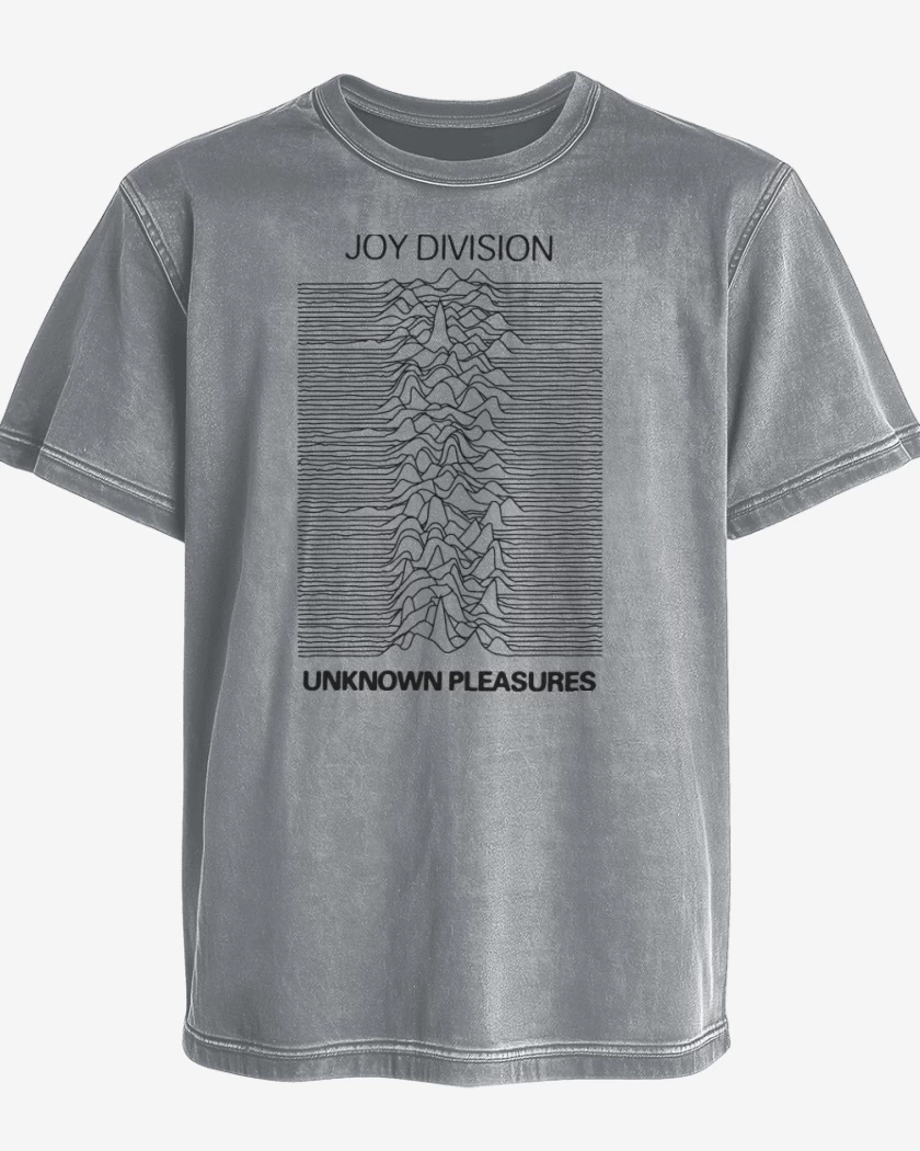 Polera desgastada Gris Melange de Joy Division