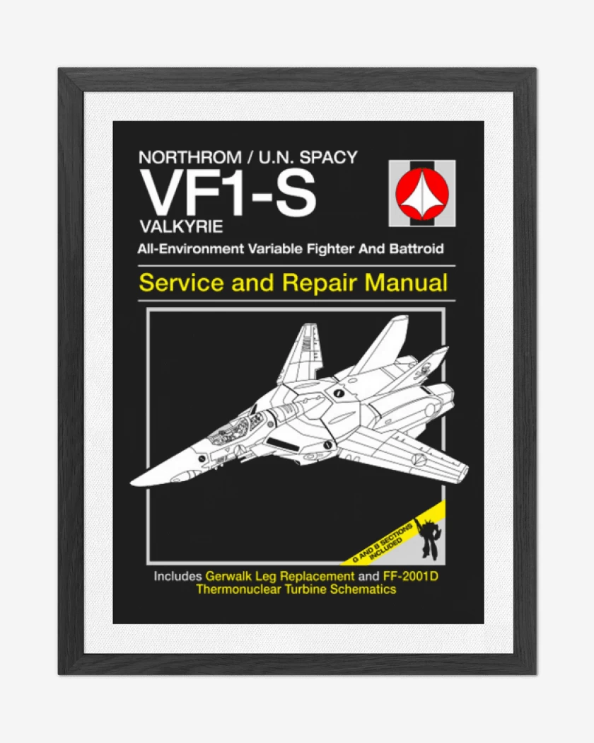 Cuadro decorativo Valkyrie service and repair