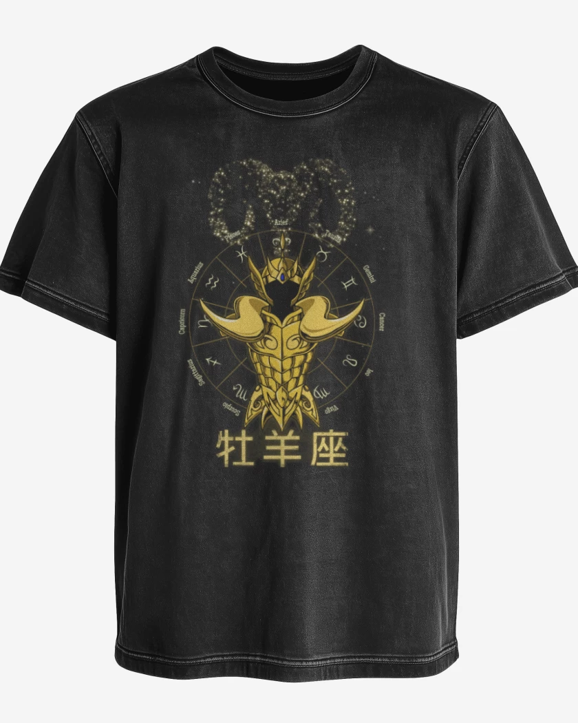 Polera desgastada Negro de Aries