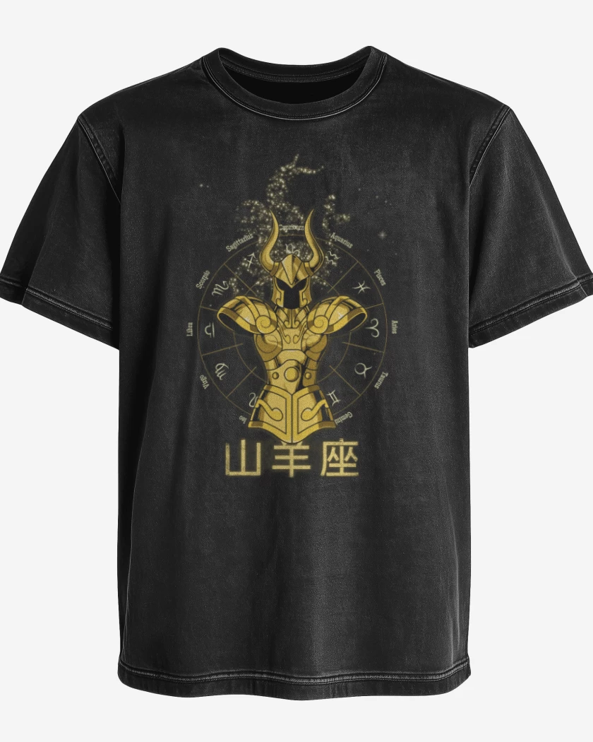 Polera desgastada Capricornio Saint Seiya