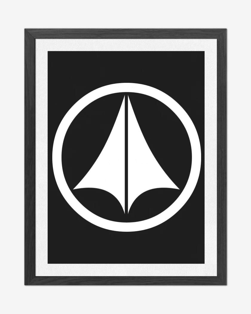 Cuadro decorativo Logo robo