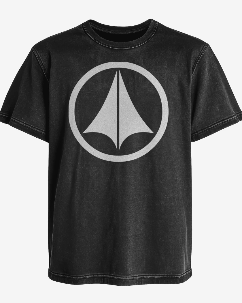 Polera desgastada Logo robo