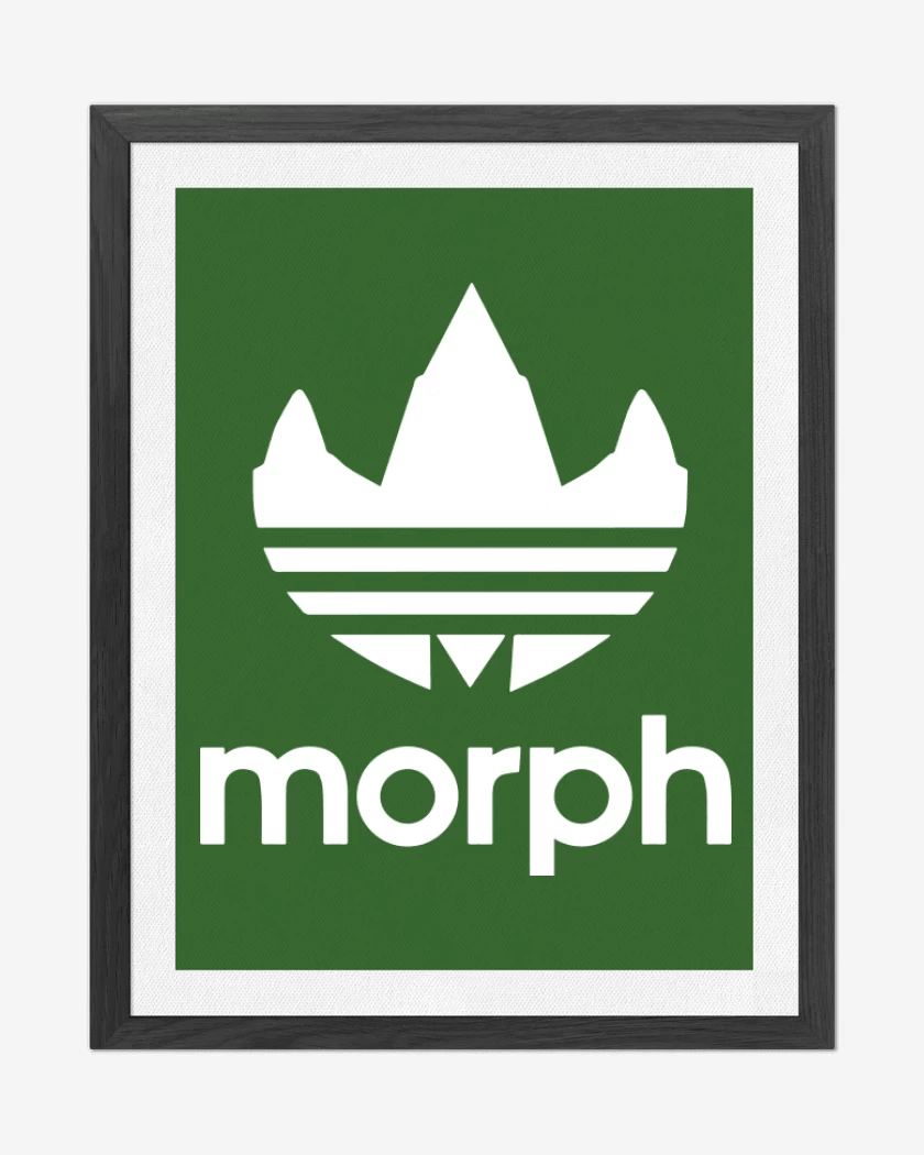Cuadro decorativo Morph