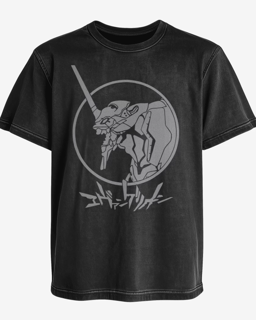 Polera desgastada Eva 2