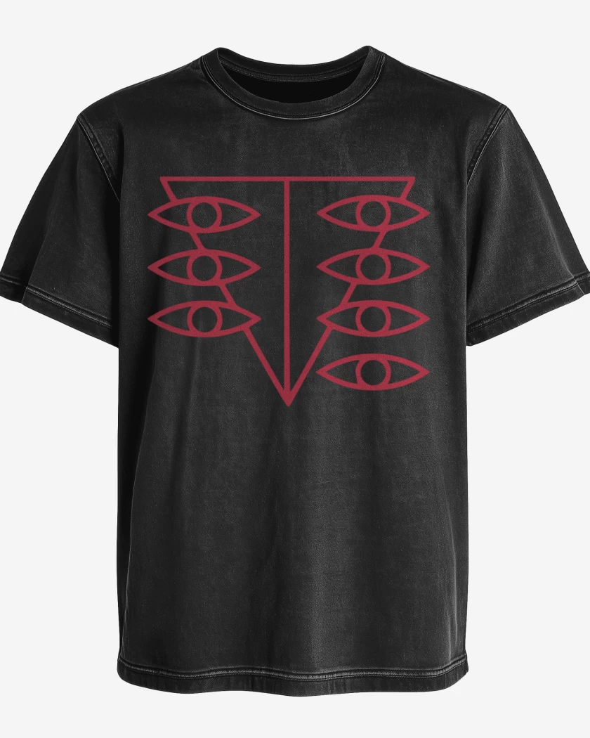 Polera desgastada Eva 4
