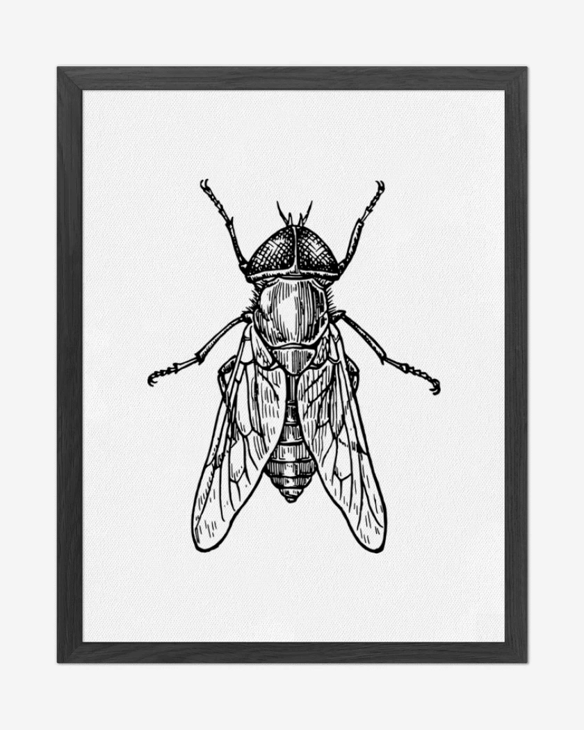 Cuadro decorativo Blanco de mosca