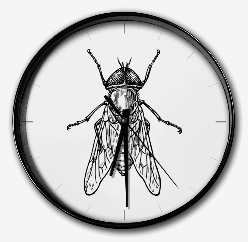 Reloj Blanco de mosca