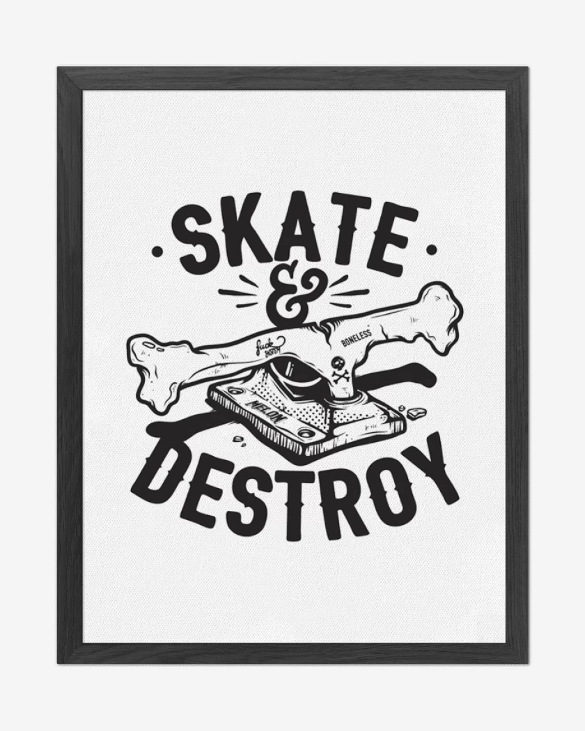Cuadro decorativo Blanco de Skate Destroy