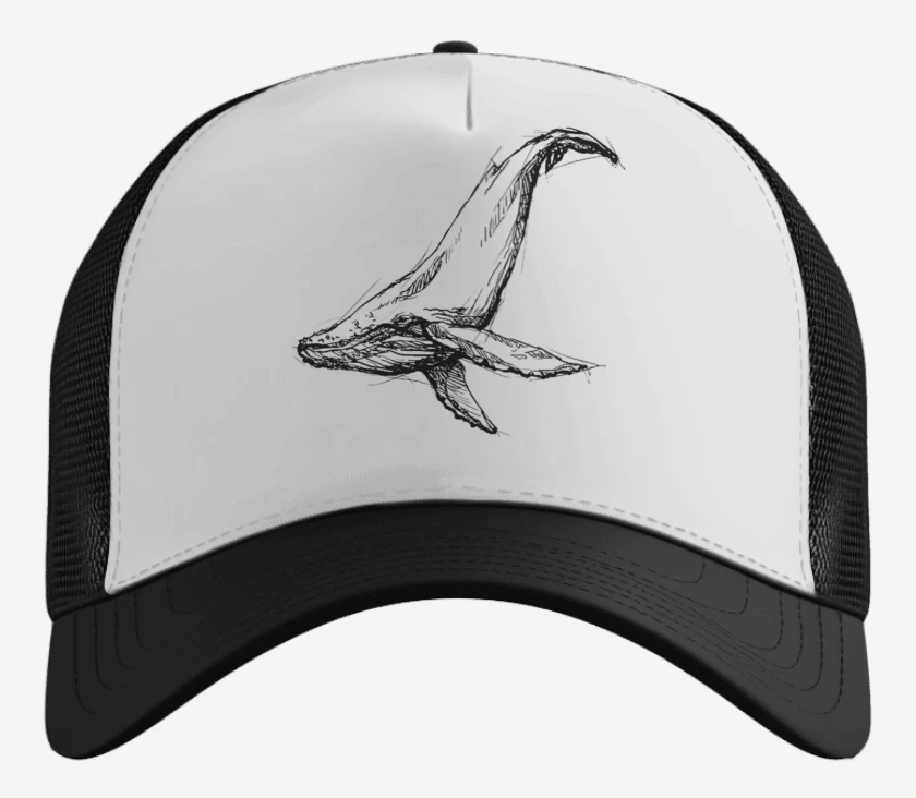 Gorro Ballena