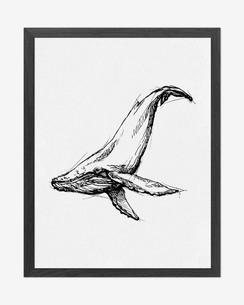 Cuadro decorativo Blanco de Ballena