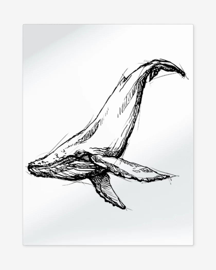 Print metalico Blanco de Ballena