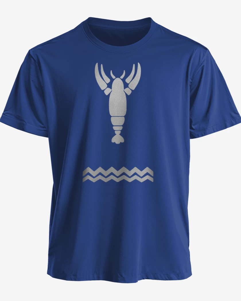 Polera The Legend Of Zelda - Wind Waker