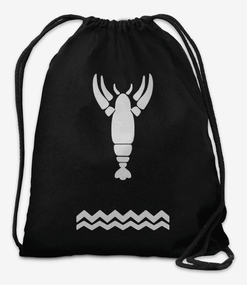 Mochila Negro de The Legend Of Zelda - Wind Waker