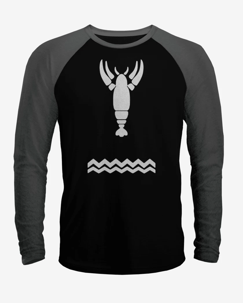 Polera Raglan The Legend Of Zelda - Wind Waker