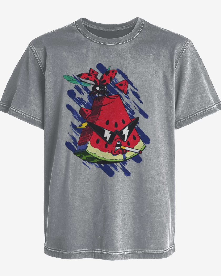Polera desgastada Gris Melange de Sandia