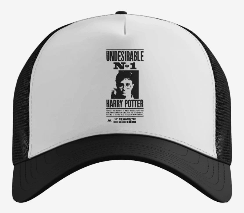 Gorro Harry potter wanted