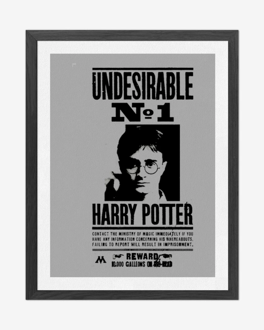 Cuadro decorativo Gris Melange de Harry potter wanted