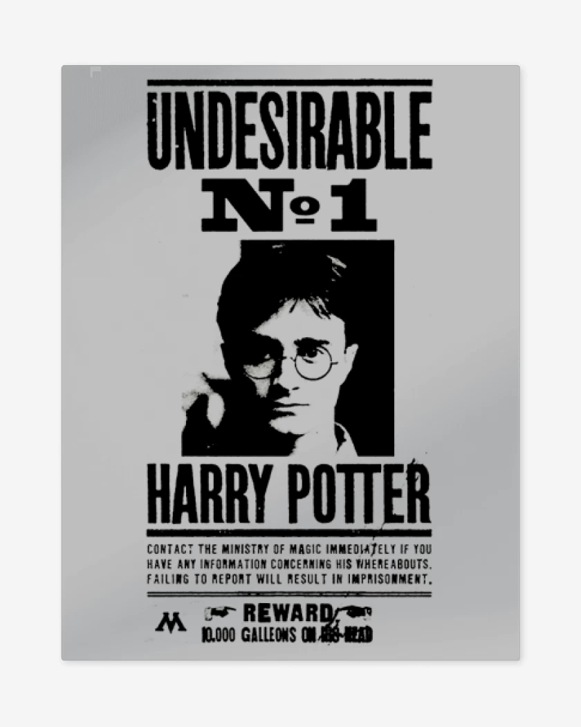 Print metalico Gris Melange de Harry potter wanted