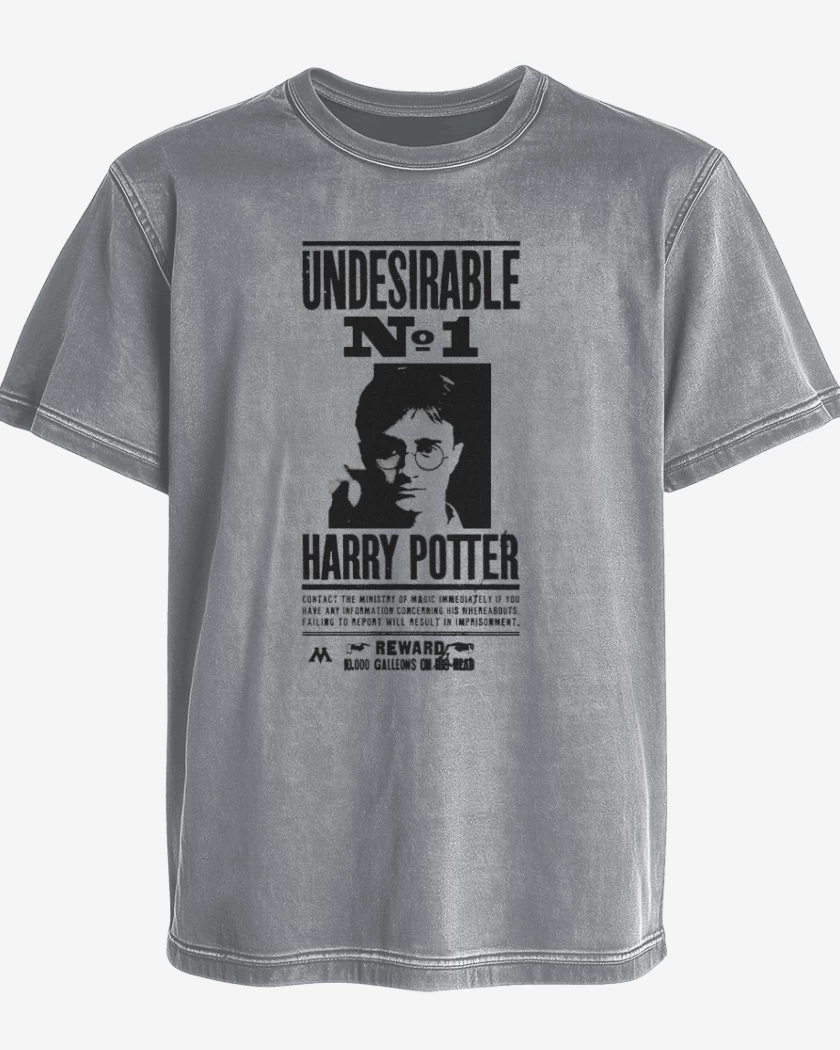Polera desgastada Gris Melange de Harry potter wanted