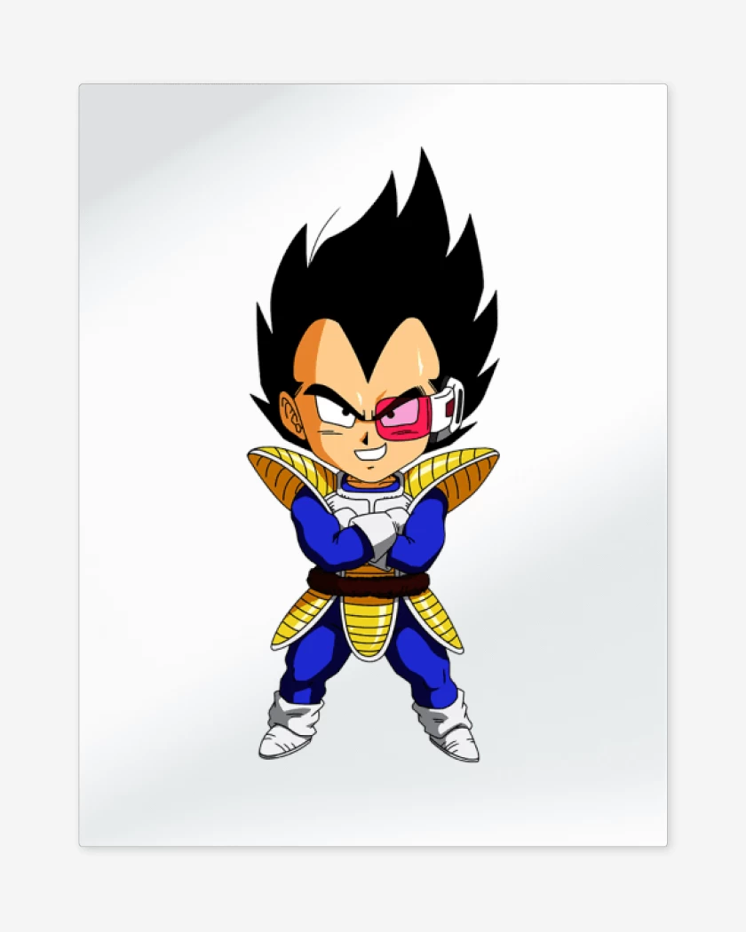 Print metalico Blanco de Vegeta 2 
