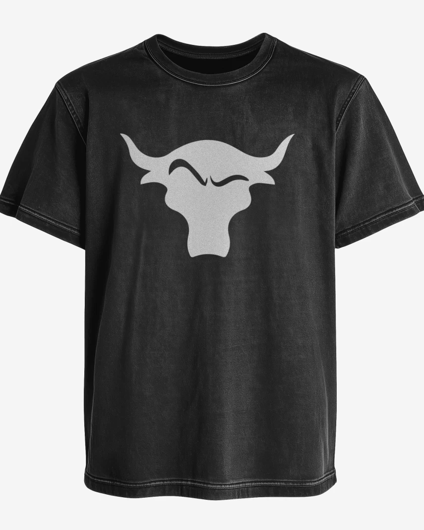 Polera desgastada The rock