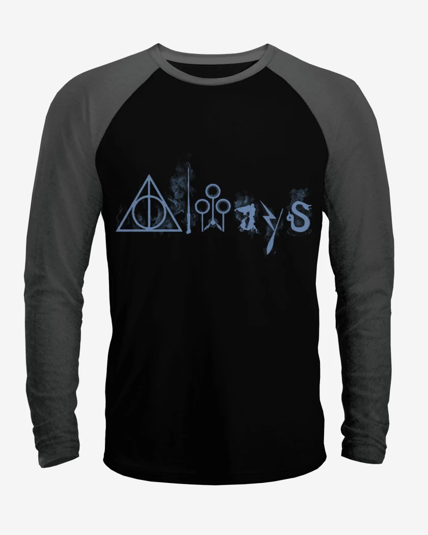 Polera Raglan harry potter full color
