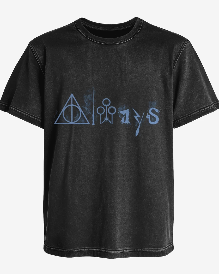 Polera desgastada harry potter full color